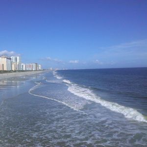 Meet your Posher, Jody